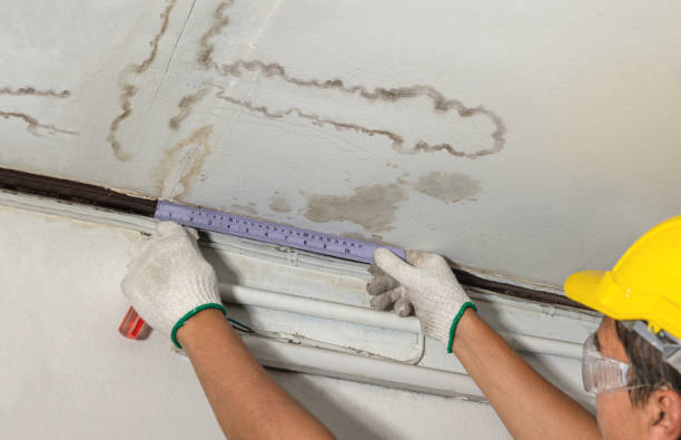 Reliable Basement Water Removal contractor in Carrollton, AL by Water Damage Irwin